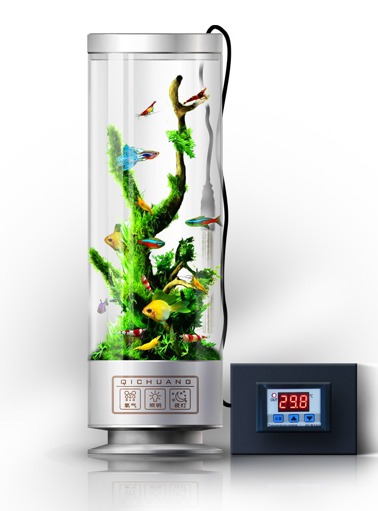 自制生态小鱼缸养热带鱼,夏天鱼缸养热带鱼要多少度