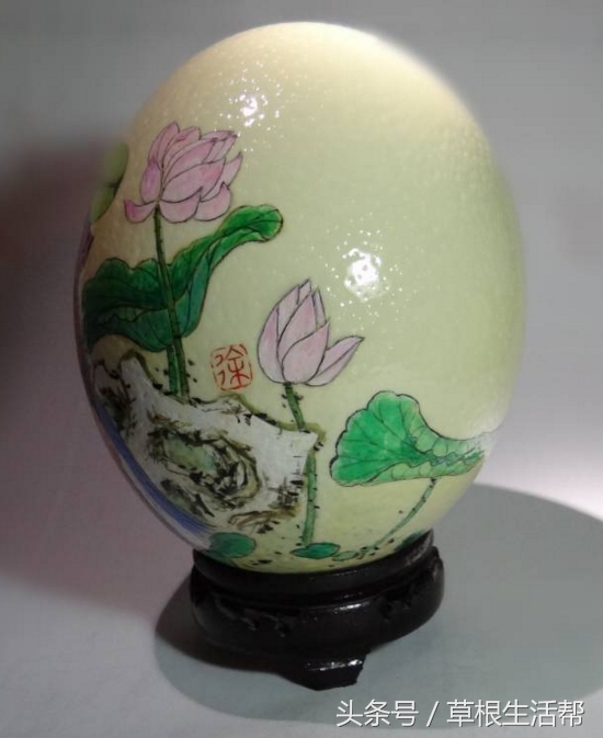 养殖“大笨鸟”,敲开致富门,80后回老家创业成为新一代农场主