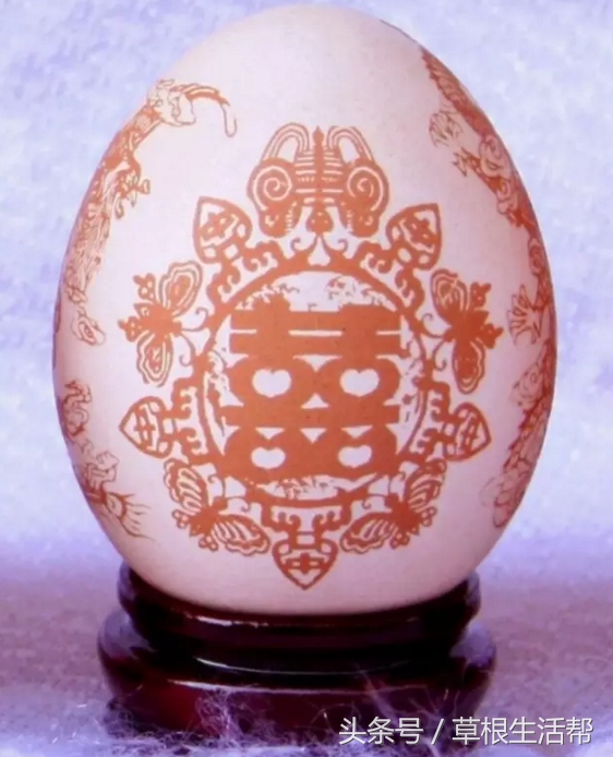 养殖“大笨鸟”,敲开致富门,80后回老家创业成为新一代农场主