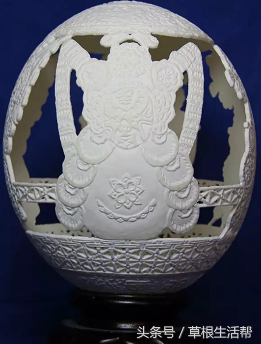 养殖“大笨鸟”,敲开致富门,80后回老家创业成为新一代农场主