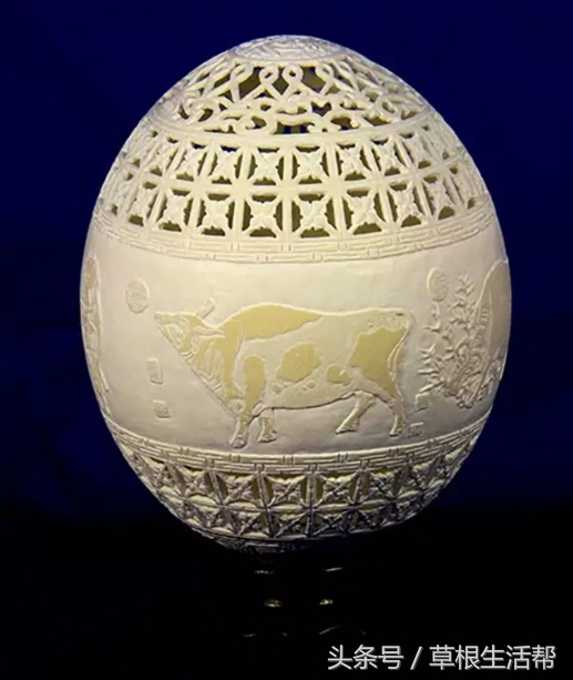 养殖“大笨鸟”,敲开致富门,80后回老家创业成为新一代农场主