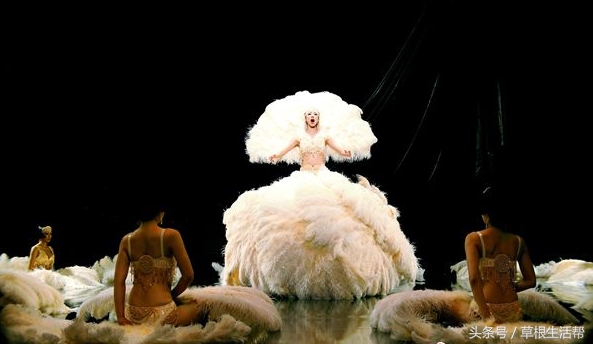 养殖“大笨鸟”,敲开致富门,80后回老家创业成为新一代农场主