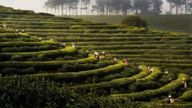 留在高淳还是去南京,在南京一定要去高淳吗