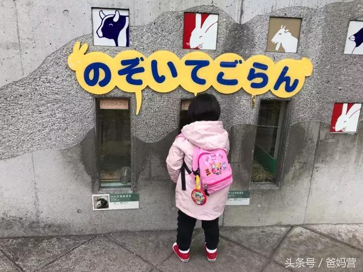 寒假日本亲子游攻略,日本亲子游最佳路线攻略