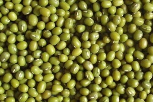 绿豆的营养价值成分表,绿豆的食用与药用价值