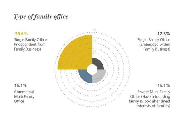 鲤智汇创始人王萌：“在线家族办公室”将成财富管理行业新形态