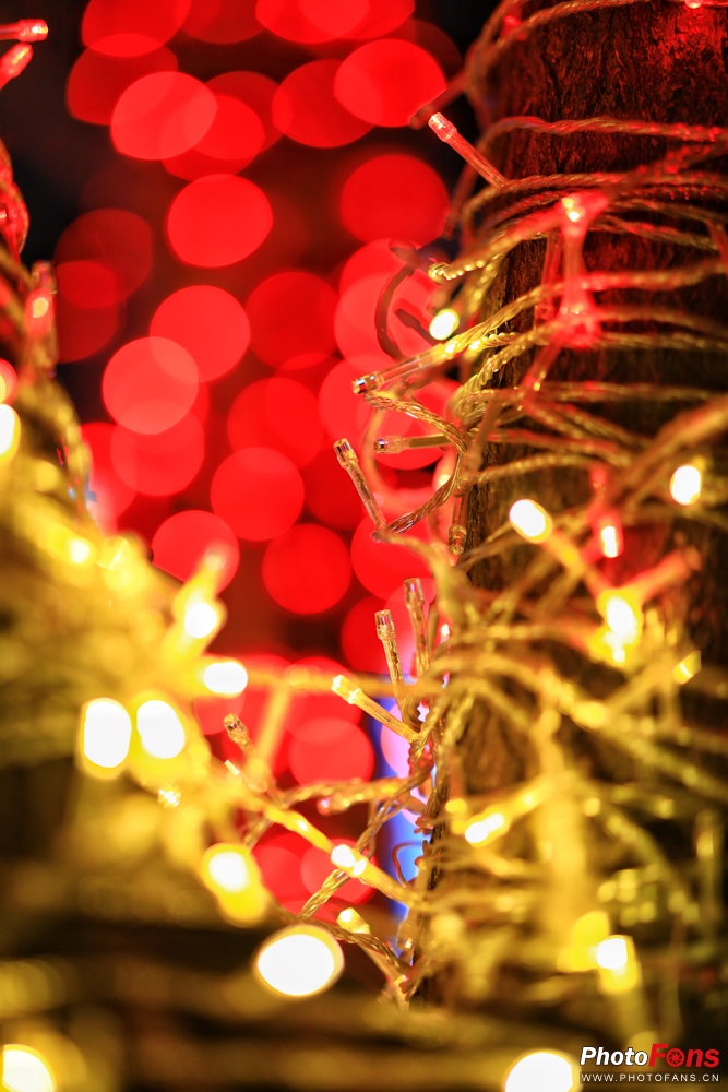 佳能ef85mm1.2人像王测评,佳能定焦镜头ef50mm1.8