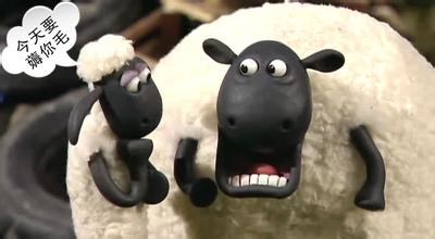 要理财怎么理财,要理财