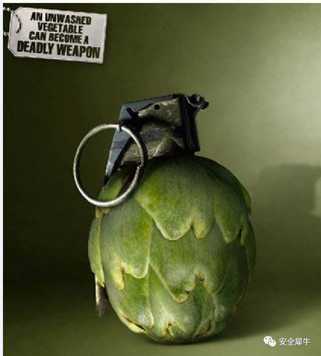 手把手教你学黑客,新手学黑客步骤流程