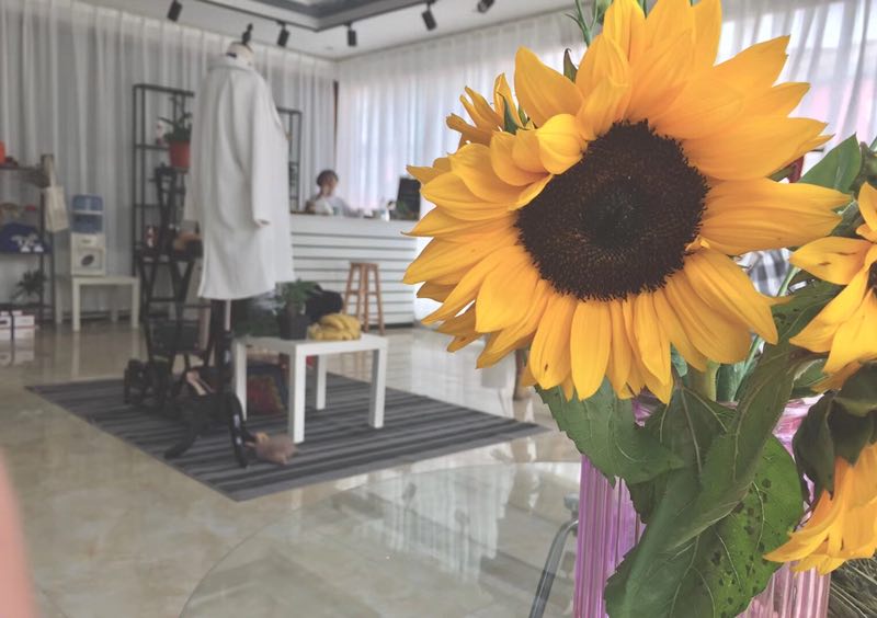 喧闹的社会,喧嚣的城市有这样一家小店