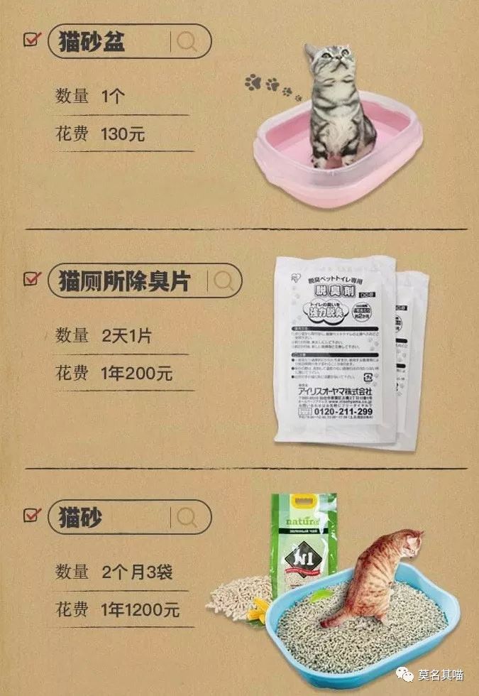 某宝某猫购物评价,某宝买猫100一只是真的吗