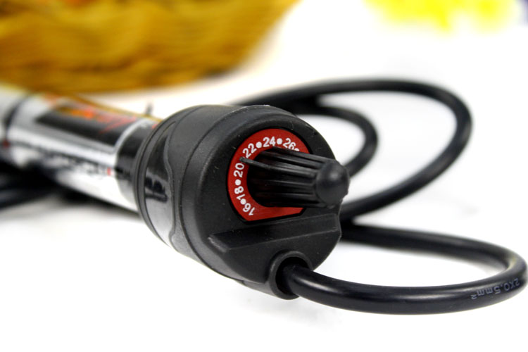 自制生态小鱼缸养热带鱼,夏天鱼缸养热带鱼要多少度