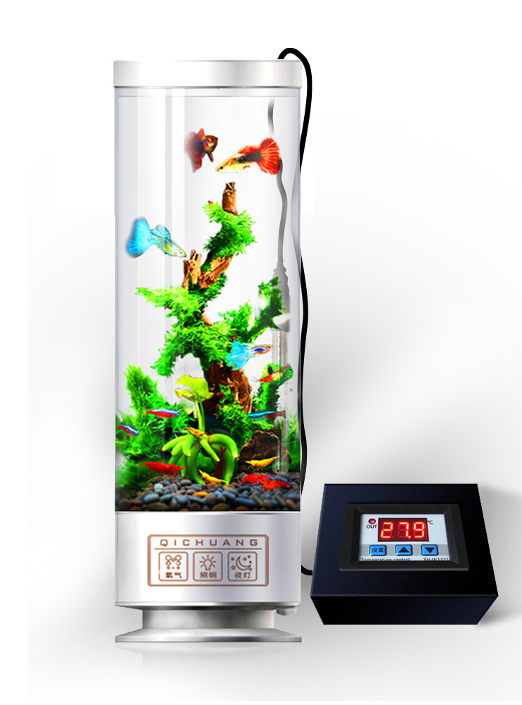 自制生态小鱼缸养热带鱼,夏天鱼缸养热带鱼要多少度