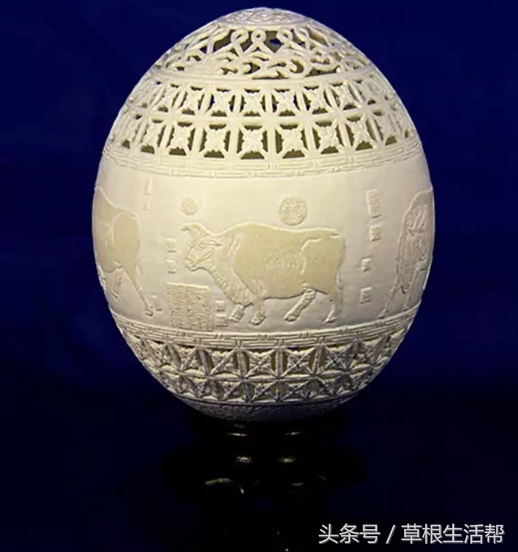 养殖“大笨鸟”,敲开致富门,80后回老家创业成为新一代农场主