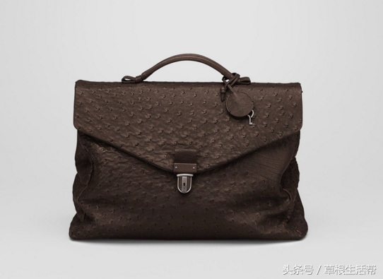 养殖“大笨鸟”,敲开致富门,80后回老家创业成为新一代农场主