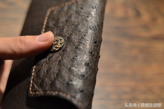 养殖“大笨鸟”,敲开致富门,80后回老家创业成为新一代农场主