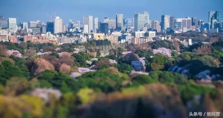 寒假日本亲子游攻略,日本亲子游最佳路线攻略