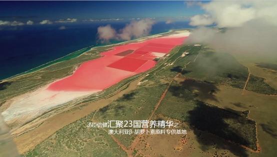 2018年标志大全,2018年的标志