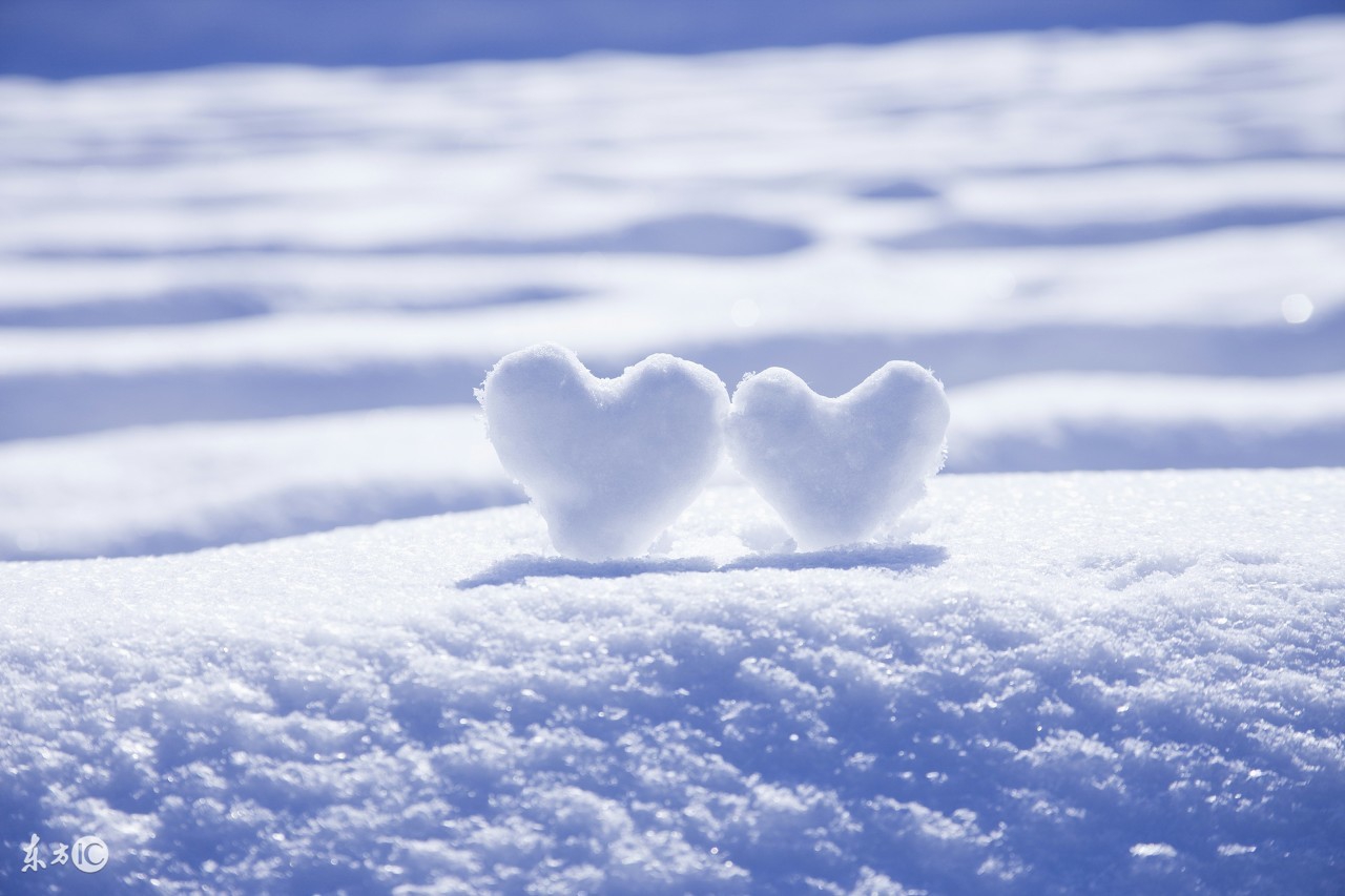 纯洁的雪又如纯真的心灵,纯洁的雪和纯净的心