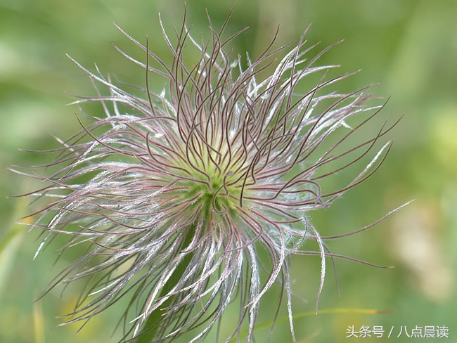 秦汉三国两晋南北朝朝代顺序,三国两晋南北朝具体时间划分
