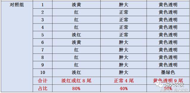 宁德大黄鱼白鳃病,大头鱼白嘴病怎么治疗最好