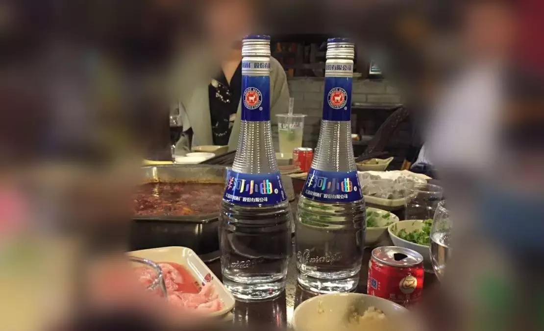 洋河小曲招商,洋河如何成功