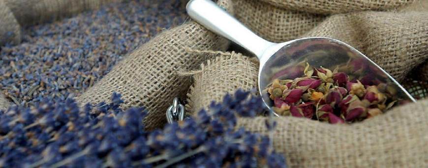 17种常见精油的美容护肤功效,护肤用的精油哪种最好用