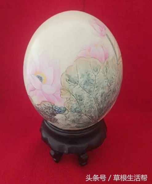 养殖“大笨鸟”,敲开致富门,80后回老家创业成为新一代农场主