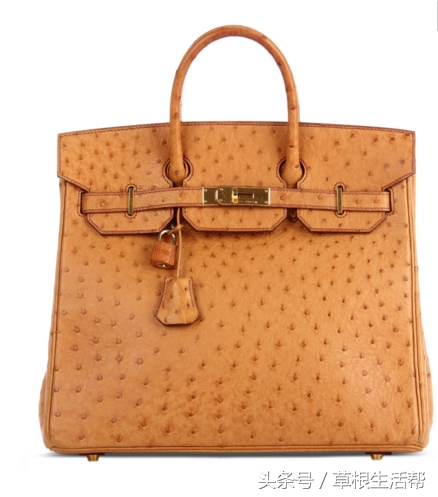 养殖“大笨鸟”,敲开致富门,80后回老家创业成为新一代农场主