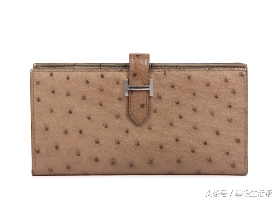 养殖“大笨鸟”,敲开致富门,80后回老家创业成为新一代农场主