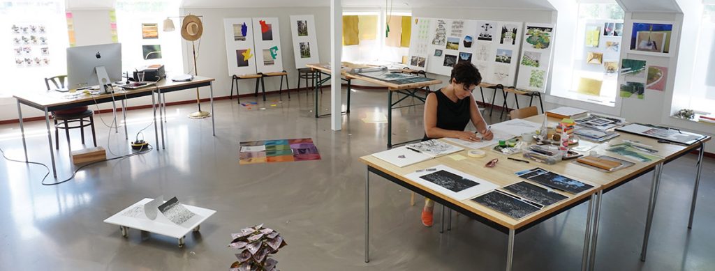 神奇的香蕉,神奇的香蕉种植方法