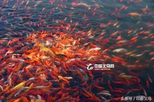 涔変箤缇庝附涔℃潙娓哥帺,涔変箤鍚勯晣缇庝附涔℃潙