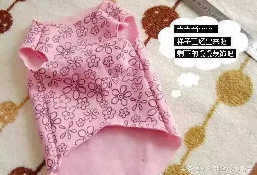 旧衣服怎么给狗狗做小衣服,夏天旧衣服给狗狗做衣服教程