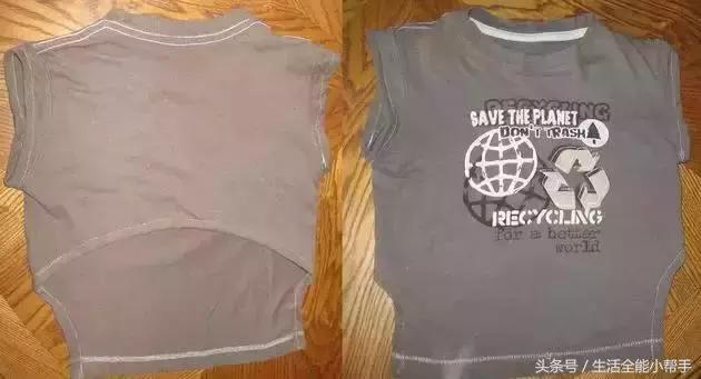 旧衣服怎么给狗狗做小衣服,夏天旧衣服给狗狗做衣服教程