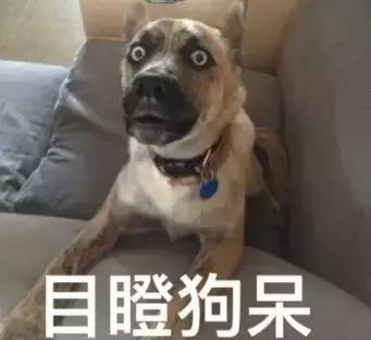 不要跟风买的大牌限定,千万别买的大牌指南