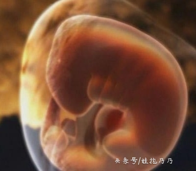 b超检查没有胎动但是胎心正常,b超查不到胎心胎芽还有希望吗