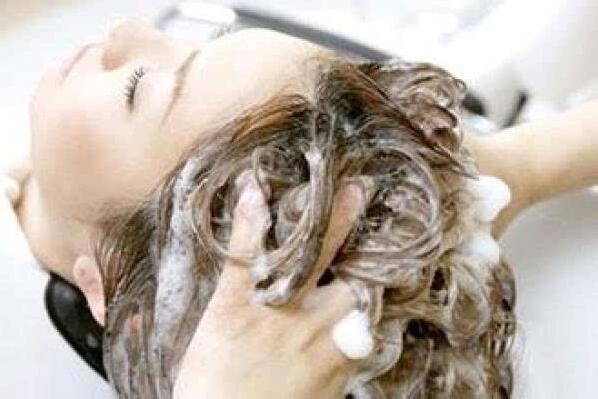 柏枝树叶煮水洗头的正确方法,侧柏叶煮水洗头的正确方法