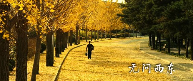 原来一月份的片单这么强，跨年后有事干了