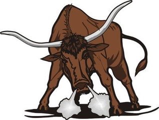 十二生肖守护神的作用与功效,十二生肖守护神传说中的十二生肖