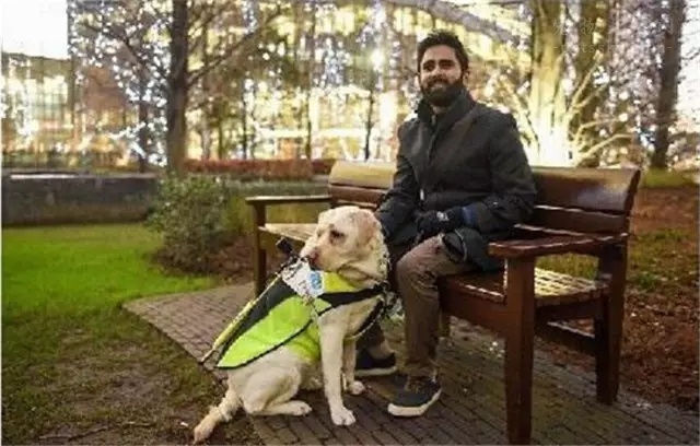 拉布拉多犬为什么作为导盲犬,导盲犬为什么拉布拉多比金毛多