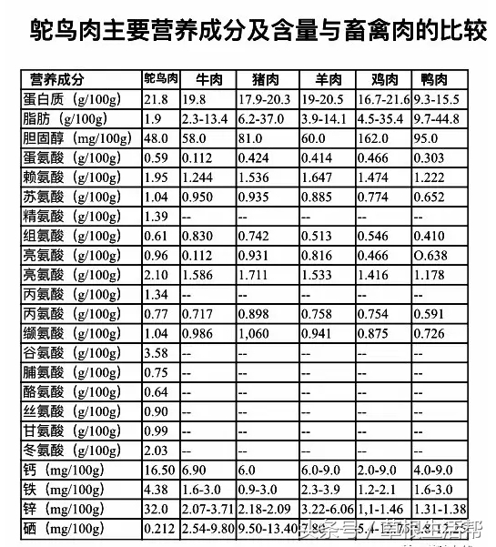养殖“大笨鸟”,敲开致富门,80后回老家创业成为新一代农场主