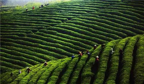 留在高淳还是去南京,在南京一定要去高淳吗