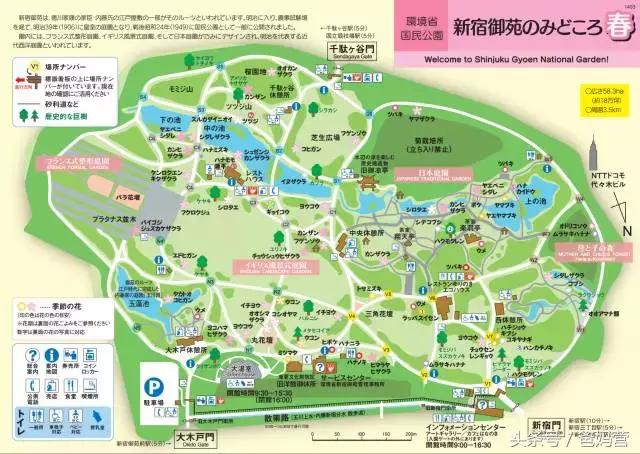 寒假日本亲子游攻略,日本亲子游最佳路线攻略