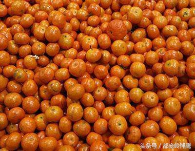 打了糖的水果能吃吗,可怕的沙糖桔看完了你还想吃吗