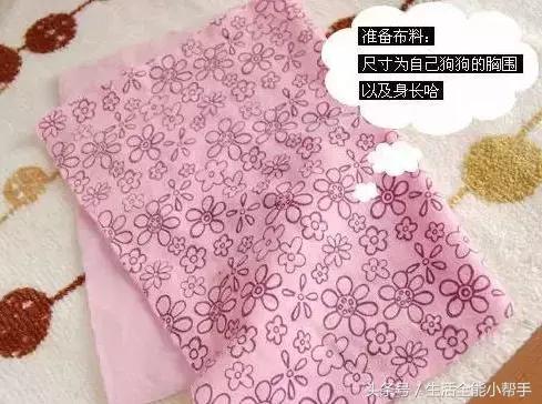 旧衣服怎么给狗狗做小衣服,夏天旧衣服给狗狗做衣服教程