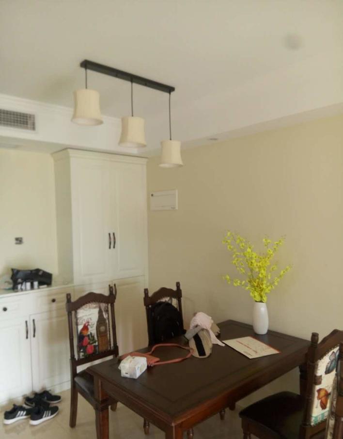 中海国际的装修,中海国际社区装修风格