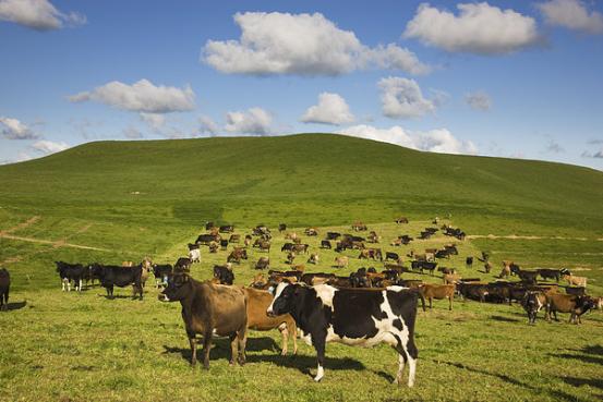 2018年标志大全,2018年的标志