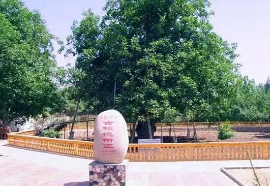 和田玉里哪个地方的玉最好,和田哪个地方的玉最好