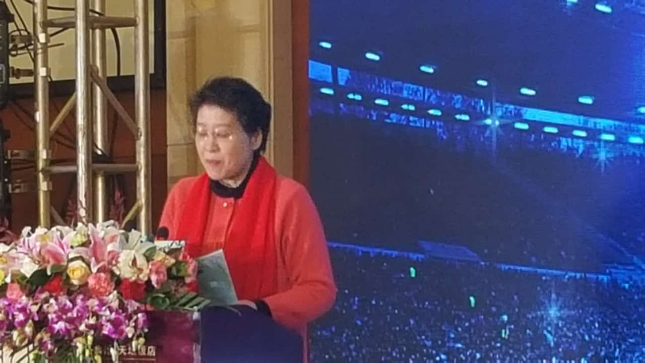 2018中青联盟青少年足球联赛,中青联盟青少年足球联赛