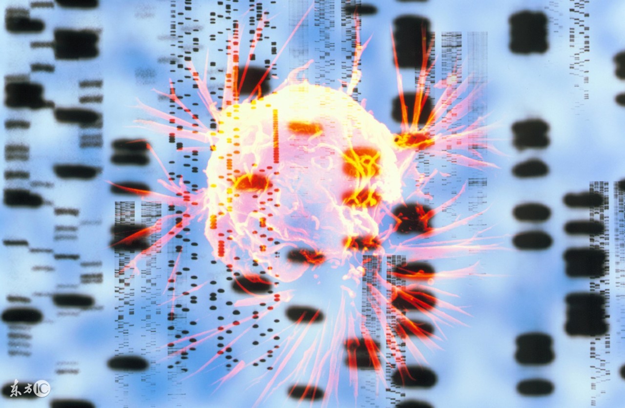 怎么能知道自己健不健康,想知道自己的健康情况